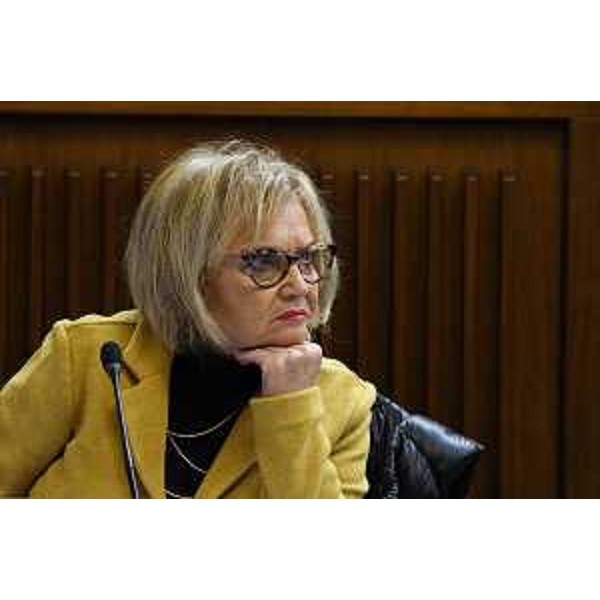 Laura Fasiolo (Pd) - Laura Fasiolo (Pd)