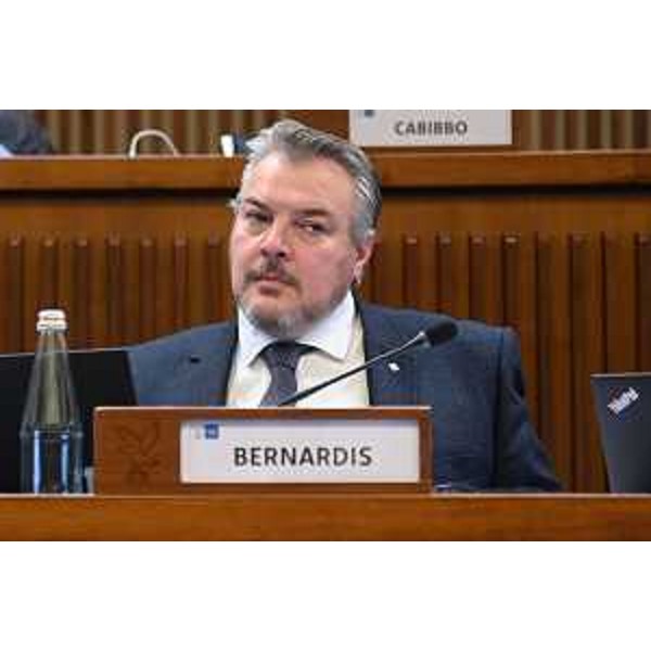 Diego Bernardis (Fedriga presidente) - Diego Bernardis (Fedriga presidente)