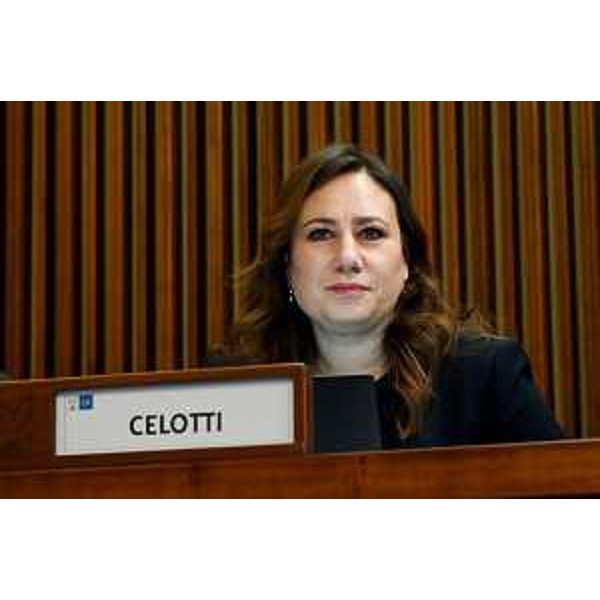 Manuela Celotti (Partito democratico) - Manuela Celotti (Partito democratico)