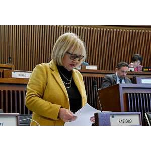 Laura Fasiolo (Pd) - Laura Fasiolo (Pd)