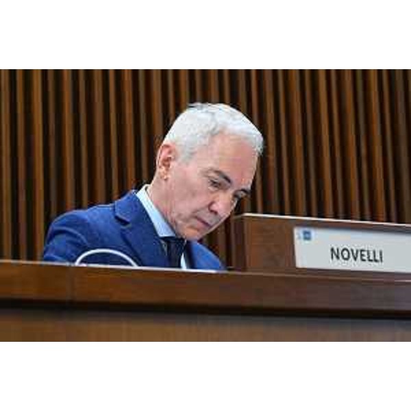 Roberto Novelli (Forza Italia) - Roberto Novelli (Forza Italia)