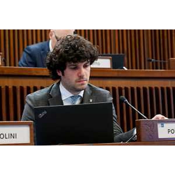 Simone Polesello (Fedriga presidente) - Simone Polesello (Fedriga presidente)