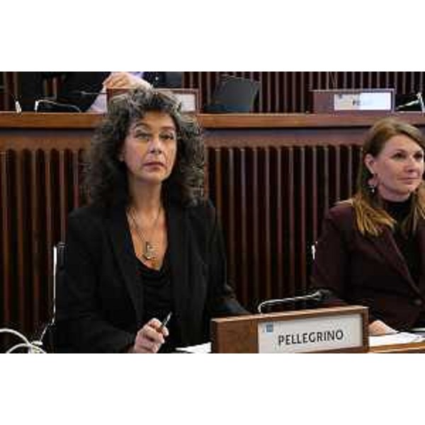 Serena Pellegrino (Avs) - Serena Pellegrino (Avs)