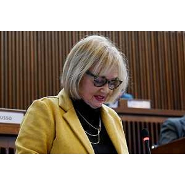 Laura Fasiolo (Pd) - Laura Fasiolo (Pd)