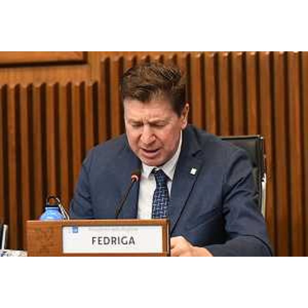 Il presidente della IV Commissione, Alberto Budai (Lega) - Il presidente della IV Commissione, Alberto Budai (Lega)