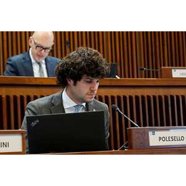 Simone Polesello (Fedriga presidente) - Simone Polesello (Fedriga presidente)