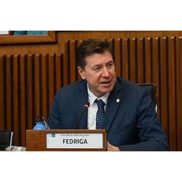 Il presidente della IV Commissione, Alberto Budai (Lega) - Il presidente della IV Commissione, Alberto Budai (Lega)