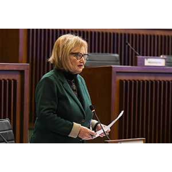 Laura Fasiolo (Pd) - Laura Fasiolo (Pd)