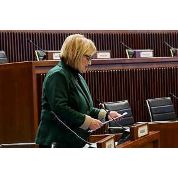 Laura Fasiolo (Pd) - Laura Fasiolo (Pd)