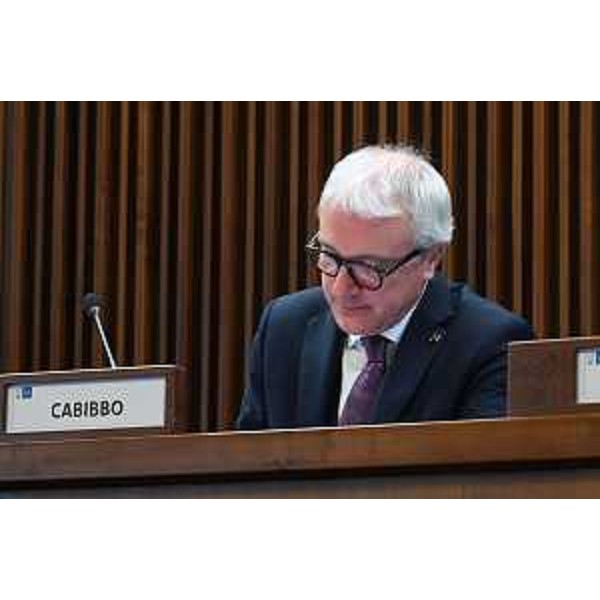 Andrea Cabibbo (FI) - Andrea Cabibbo (FI)