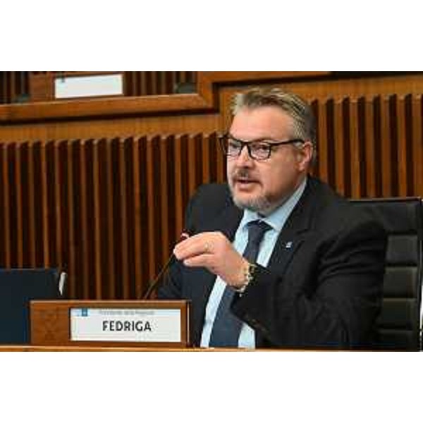 Diego Bernardis (Fp), presidente della V Commissione - Diego Bernardis (Fp), presidente della V Commissione