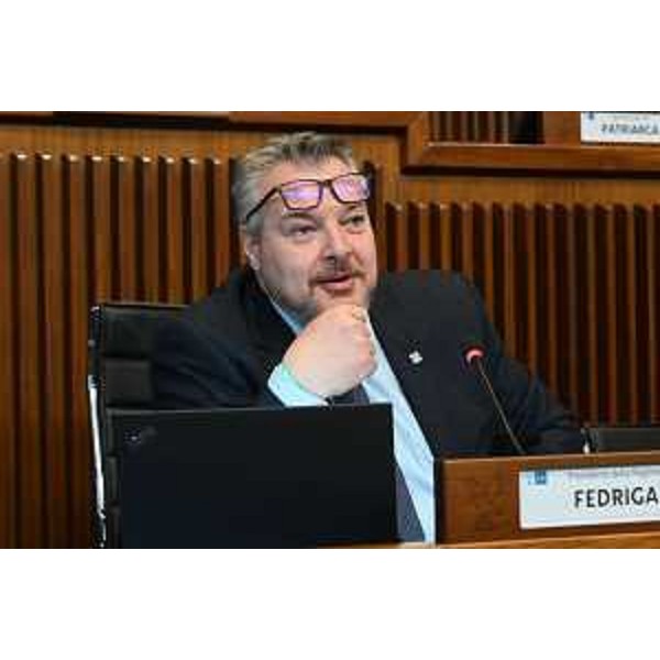 Il presidente della V Commissione, Diego Bernardis (Fp) - Il presidente della V Commissione, Diego Bernardis (Fp)