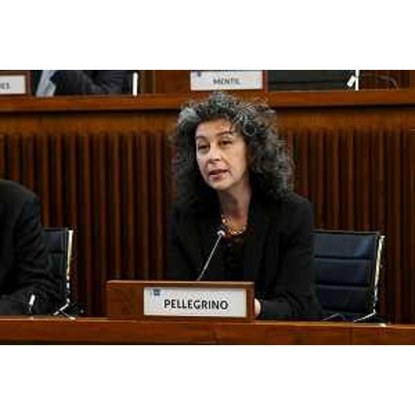 Serena Pellegrino (Avs) - Serena Pellegrino (Avs)