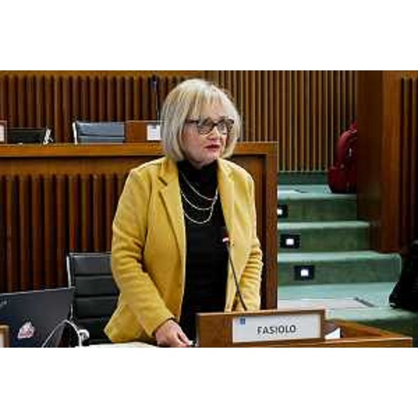 Laura Fasiolo (Pd) - Laura Fasiolo (Pd)