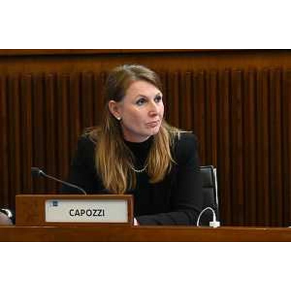 Rosaria Capozzi (Movimento Cinque Stelle) - Rosaria Capozzi (Movimento Cinque Stelle)