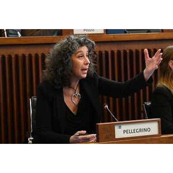 Serena Pellegrino (Avs) - Serena Pellegrino (Avs)