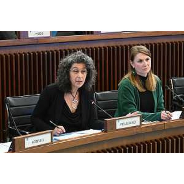 Da sinistra, Serena Pellegrino (Avs) e Rosaria Capozzi (M5S) - Da sinistra, Serena Pellegrino (Avs) e Rosaria Capozzi (M5S)