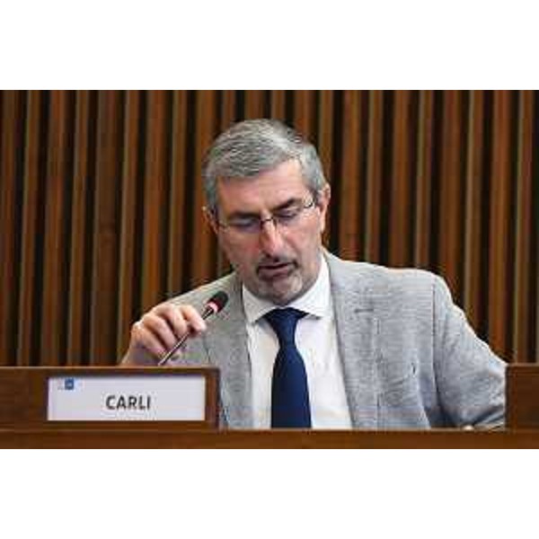 Andrea Carli (Pd) - Andrea Carli (Pd)