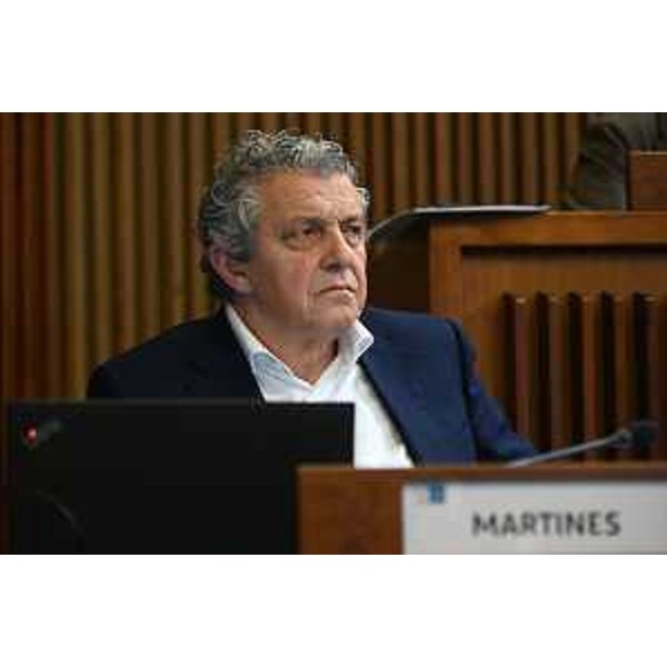 Francesco Martines (Pd) - Francesco Martines (Pd)