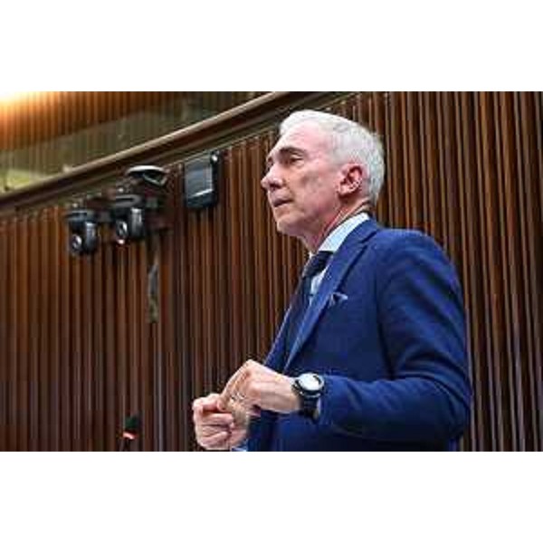 Roberto Novelli (Forza Italia) - Roberto Novelli (Forza Italia)