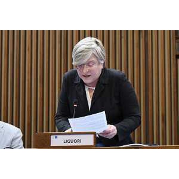 Simona Liguori (Patto-Civica Fvg) - Simona Liguori (Patto-Civica Fvg)