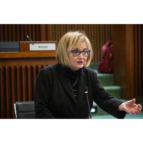 Laura Fasiolo (Pd) - Laura Fasiolo (Pd)