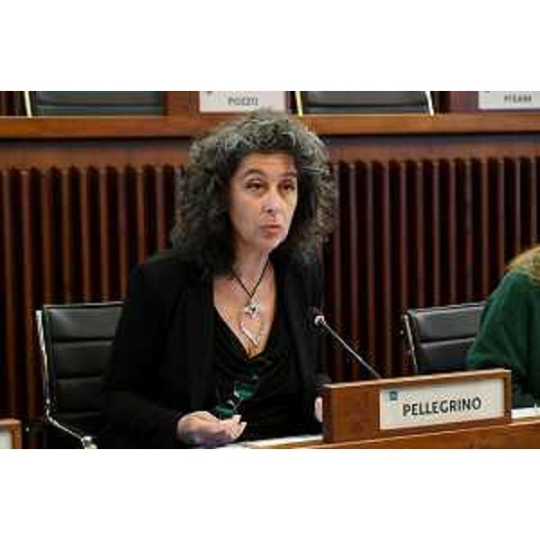 Serena Pellegrino (Alleanza Verdi e Sinistra - Serena Pellegrino (Alleanza Verdi e Sinistra