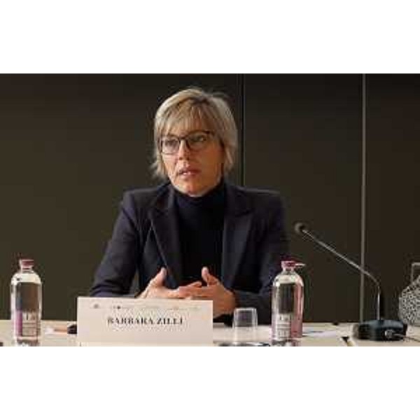 L'assessore regionale alle Finanze Barbara Zilli durante il suo intervento al convegno svoltosi a Udine - L'assessore regionale alle Finanze Barbara Zilli durante il suo intervento al convegno svoltosi a Udine