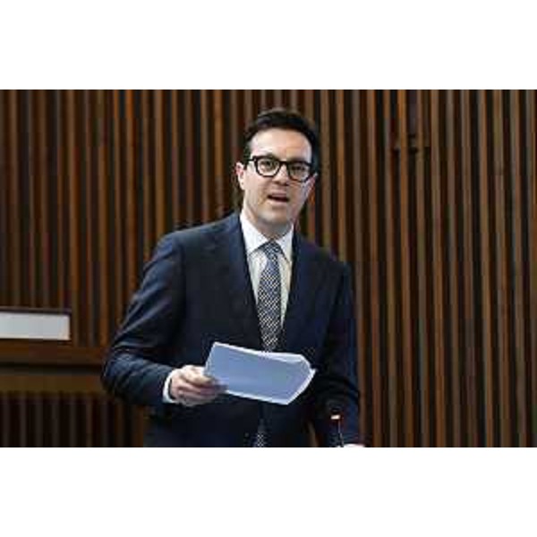 Igor Treleani (FdI) - Igor Treleani (FdI)