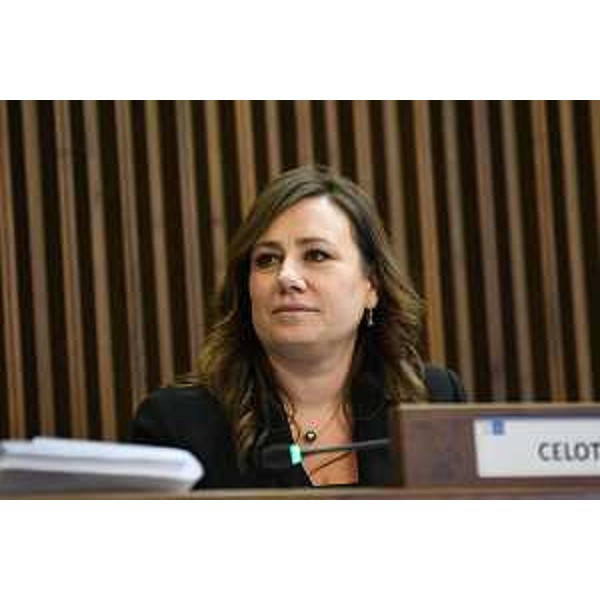 Manuela Celotti (Pd) - Manuela Celotti (Pd)