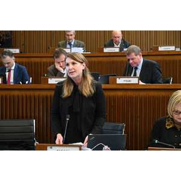 Rosaria Capozzi (M5S) - Rosaria Capozzi (M5S)