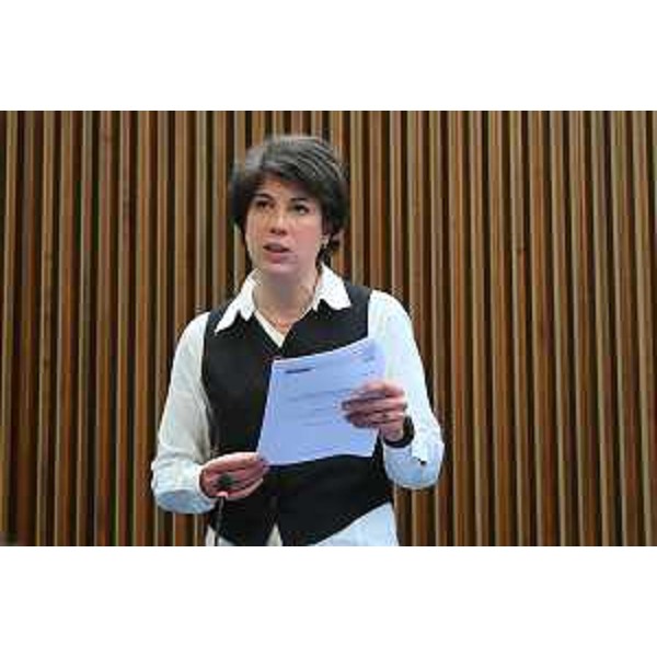 Giulia Massolino (Patto-Civica) - Giulia Massolino (Patto-Civica)