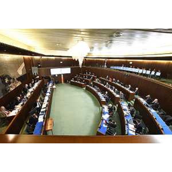 I lavori dell'Aula - I lavori dell'Aula