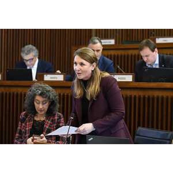 Rosaria Capozzi (M5S) - Rosaria Capozzi (M5S)