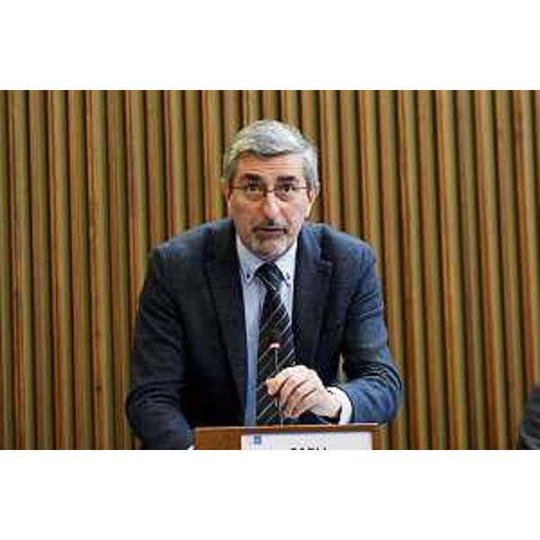 Andrea Carli (Pd) - Andrea Carli (Pd)