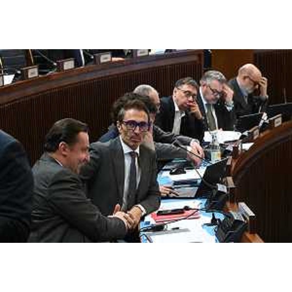 Il gruppo Fedriga presidente - Il gruppo Fedriga presidente