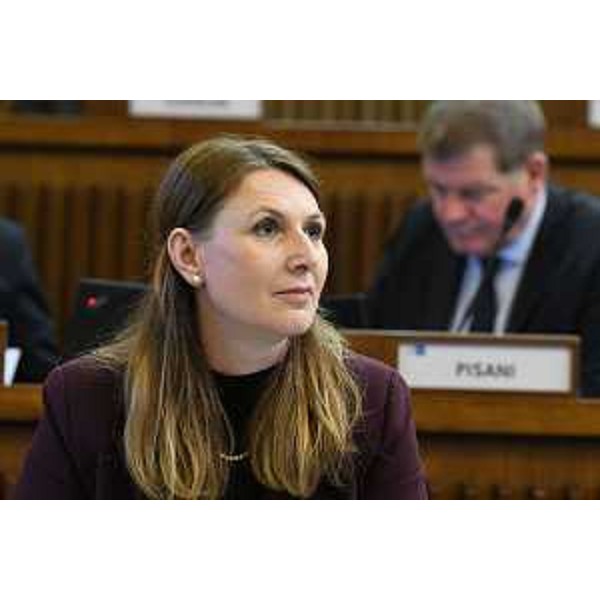 Rosaria Capozzi (M5S) - Rosaria Capozzi (M5S)