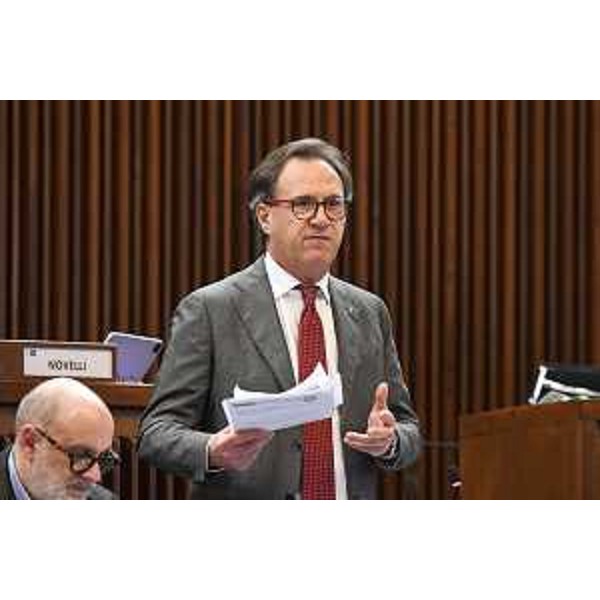 Mauro Di Bert, capogruppo di Fp - Mauro Di Bert, capogruppo di Fp