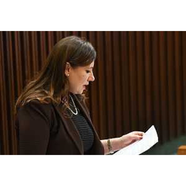 Manuela Celotti (Pd) - Manuela Celotti (Pd)