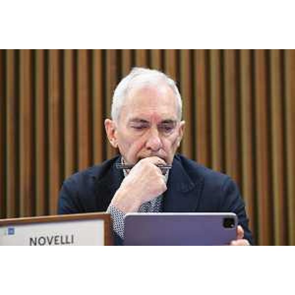 Roberto Novelli (Forza Italia) - Roberto Novelli (Forza Italia)