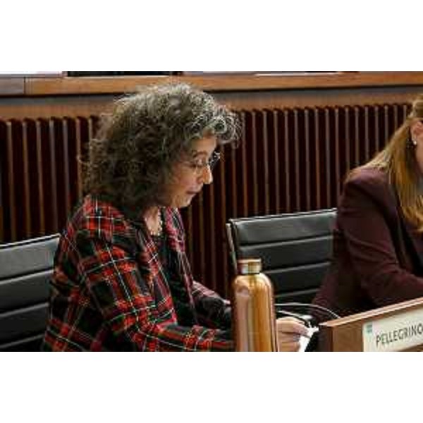 Serena Pellegrino (Avs) - Serena Pellegrino (Avs)