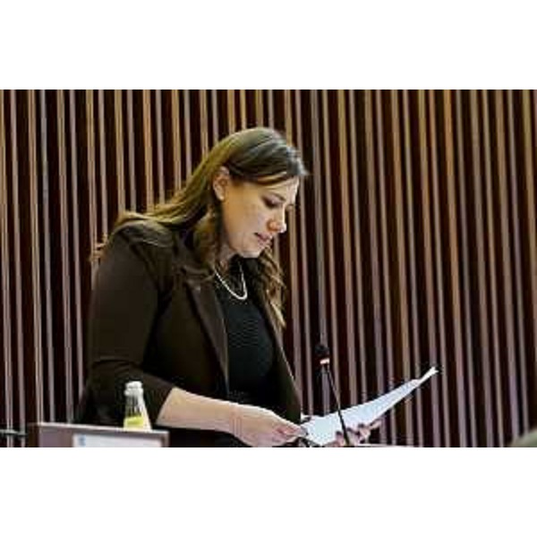 Manuela Celotti (Pd) - Manuela Celotti (Pd)