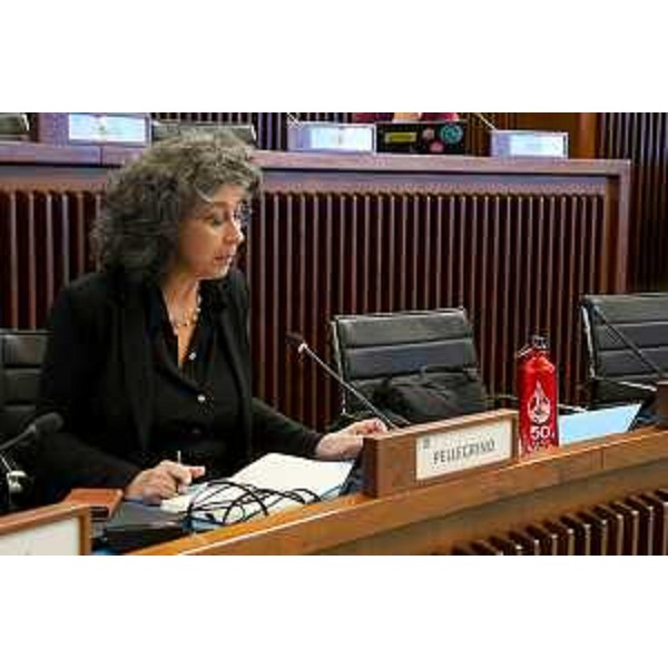 Serena Pellegrino (Alleanza Verdi e Sinistra) - Serena Pellegrino (Alleanza Verdi e Sinistra)