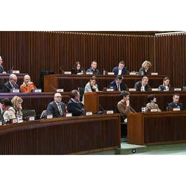 Gli auditi in II Commissione consiliare - Gli auditi in II Commissione consiliare