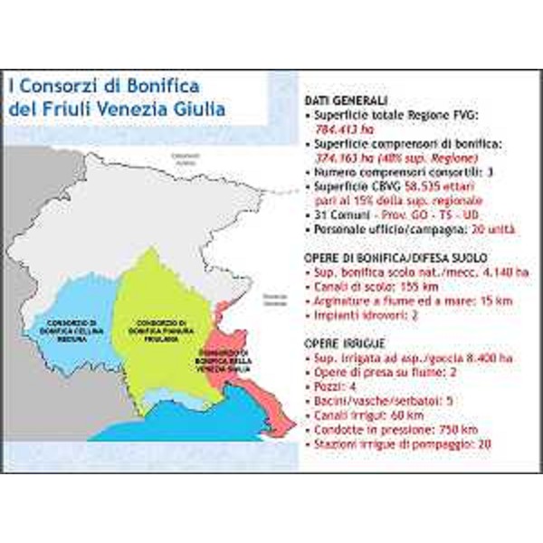 I tre consorzi e i dati del Cbvg - I tre consorzi e i dati del Cbvg