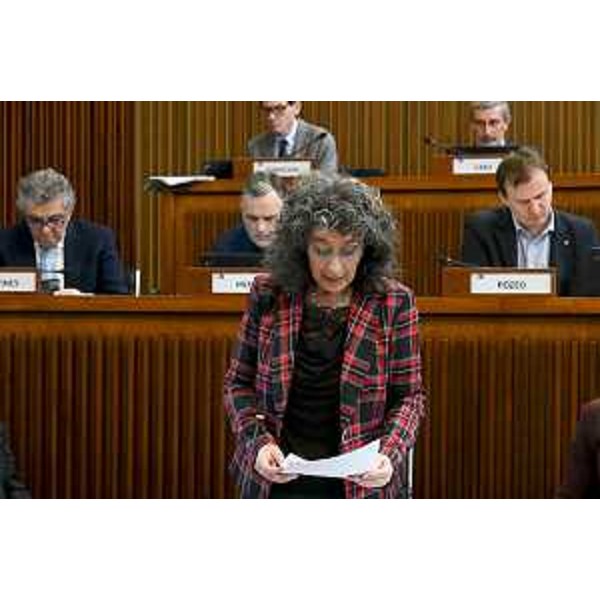 Serena Pellegrino (Avs) - Serena Pellegrino (Avs)