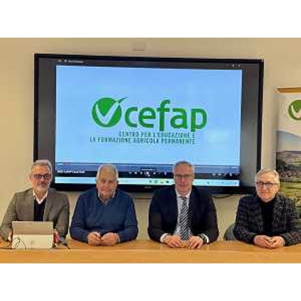 Il presidente Bordin, secondo da destra, durante l'incontro a Codroipo: da sinistra Massimo Marino, Sandro Baldo e Sergio Vello - Il presidente Bordin, secondo da destra, durante l'incontro a Codroipo: da sinistra Massimo Marino, Sandro Baldo e Sergio Vello