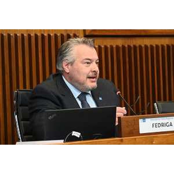 Diego Bernardis (Fp), presidente della V Commissione - Diego Bernardis (Fp), presidente della V Commissione