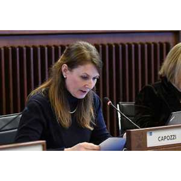 Rosaria Capozzi (M5S) - Rosaria Capozzi (M5S)