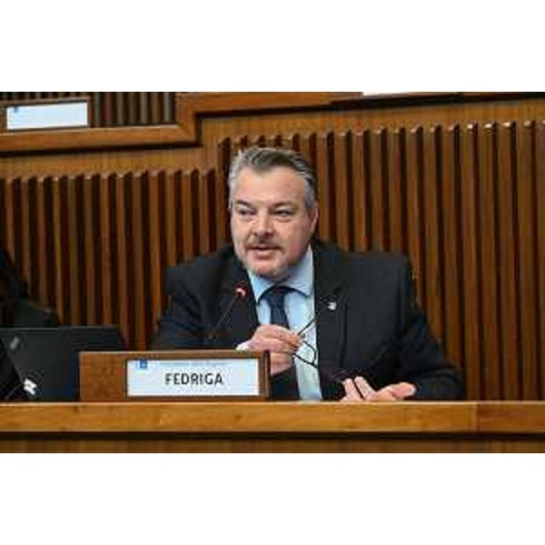 Diego Bernardis (Fedriga presidente) - Diego Bernardis (Fedriga presidente)